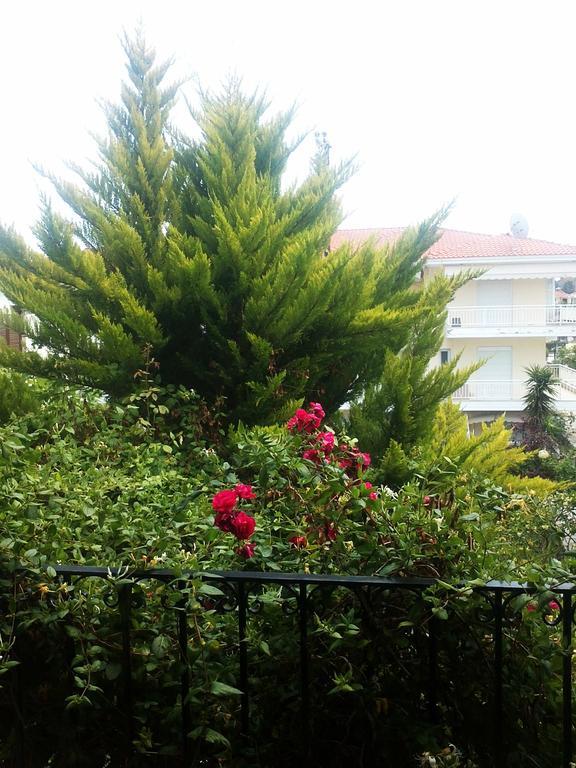 Charming Maisonette โปไลโครโน ภายนอก รูปภาพ
